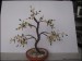 Kvetoucí bonsaj
